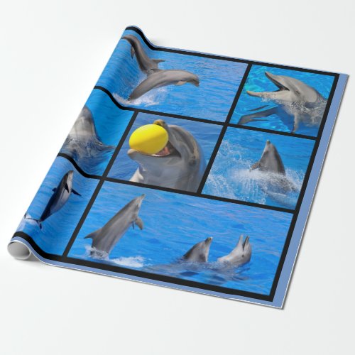 Multiple photos of dolphins poster wrapping paper
