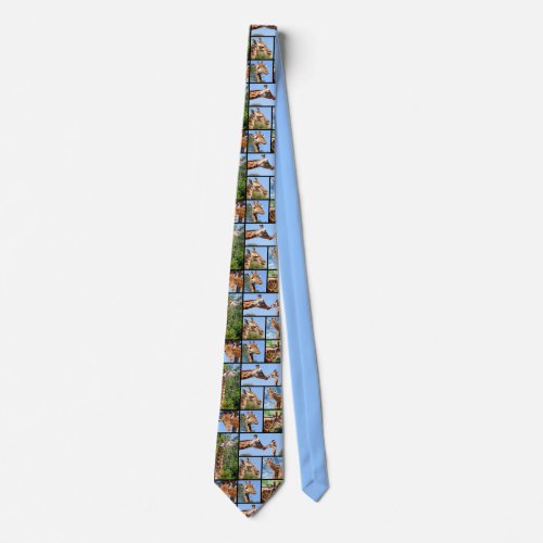 Multiple photos of giraffes tie