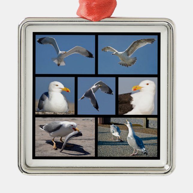 Multiple photos of seagulls metal ornament (Front)