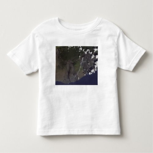 Multiple plumes blow toward the south_southwest toddler t_shirt