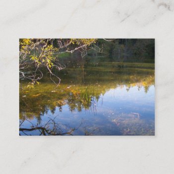 Multiple Reflections Business Card by northwest_photograph at Zazzle
