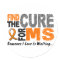 Multiple Sclerosis MS Find The Cure 1