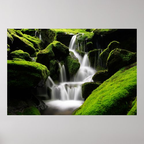 Multiple Waterfalls  Lush Green Vegetation Poster