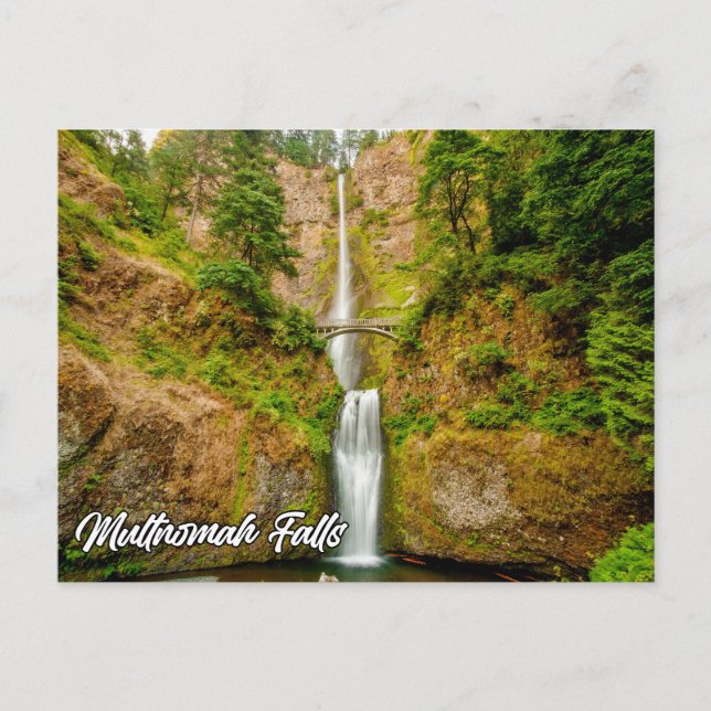 Multnomah Falls, Columbia River Gorge, Oregon Postcard (Front)