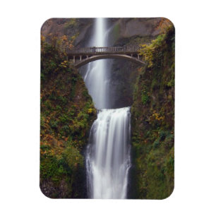 Multnomah Falls in late Autumn Magnet