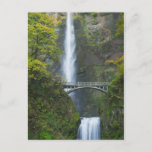 Multnomah Falls, Oregon Postcard at Zazzle
