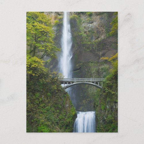Multnomah Falls Oregon Postcard