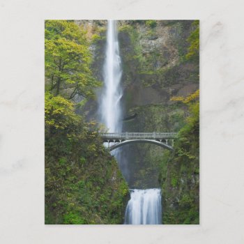 Multnomah Falls  Oregon Postcard by usbridges at Zazzle