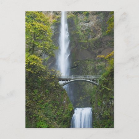 Multnomah Falls, Oregon Postcard