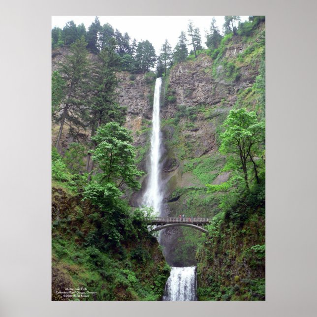 Multnomah Falls Poster (Front)
