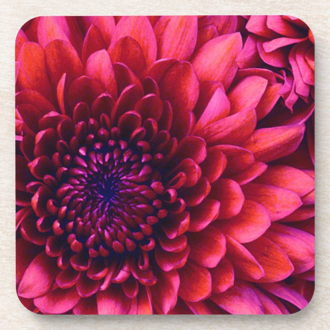 MUM CORK COASTERS (Front)