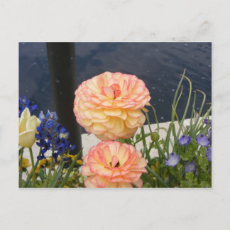 MUM FLOWER POSTCARD