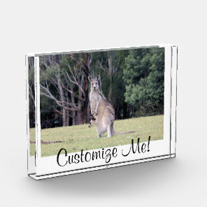 Mum Kangaroo with Baby Joey in Her Pouch Award