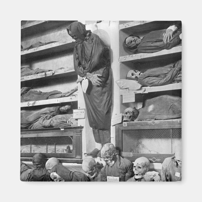 Mummies in the Palermo catacombs, Italy Magnet (Front)