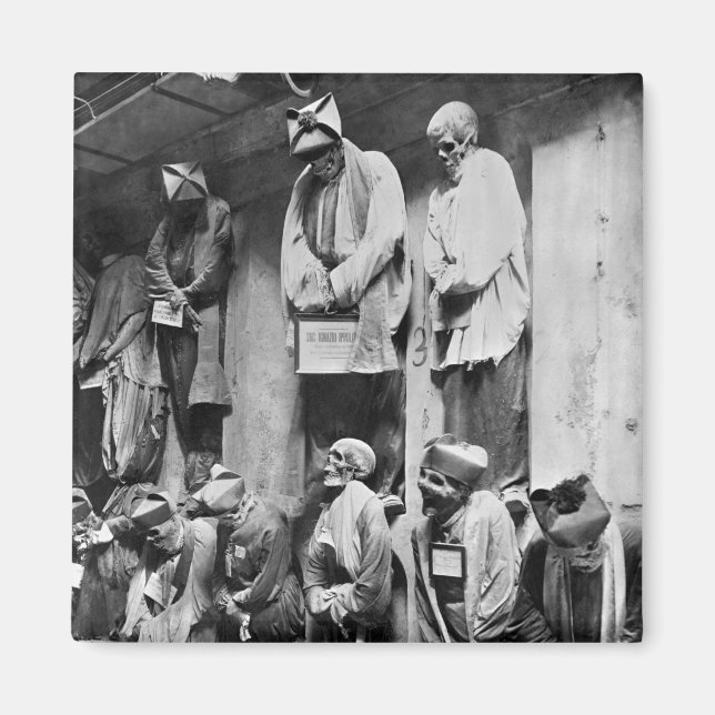 Mummies of catacomb in Palermo, Italy Magnet (Front)