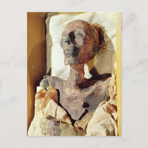 Mummified body of Ramesses II  found in a tomb Postcard
