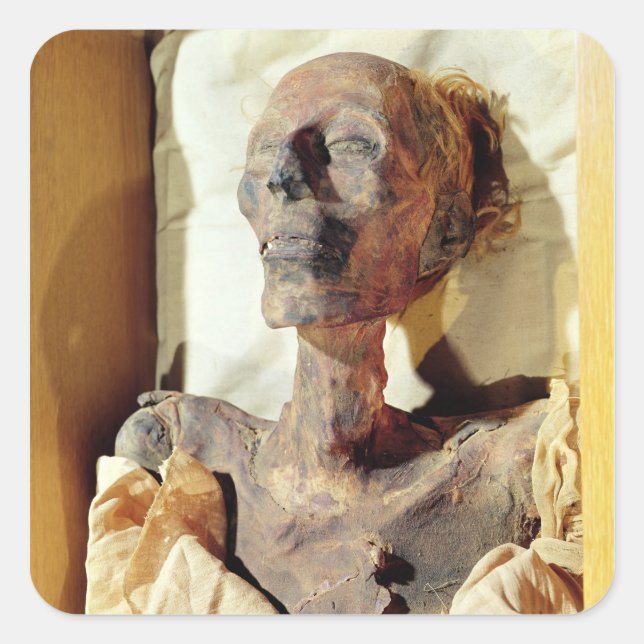 Mummified body of Ramesses II  found in a tomb Square Sticker (Front)