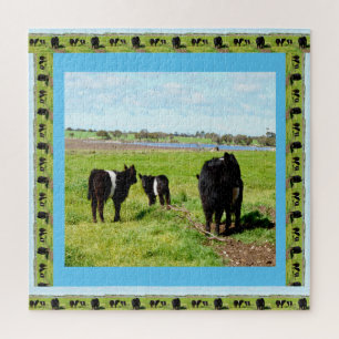 Mummy And Baby Belted Galloway Cows, Jigsaw Puzzle