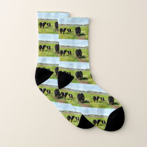 Mummy And Baby Belted Galloway Cows Socks