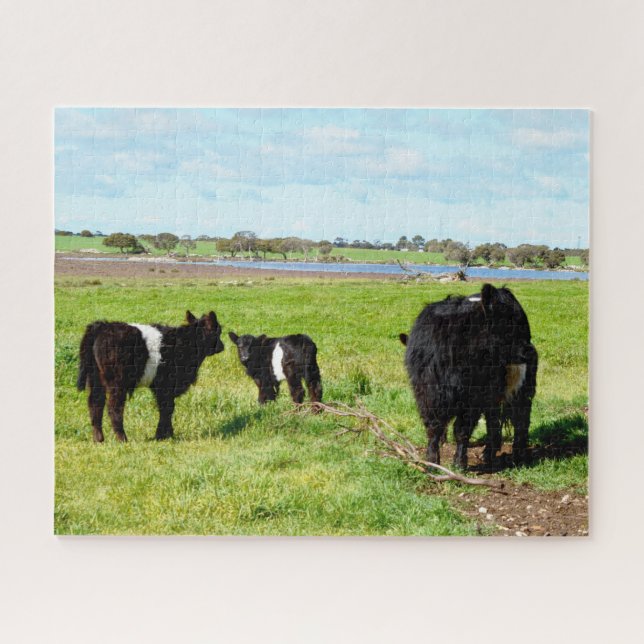 Mummy And Baby Galloway Cows, jigsaw puzzle (Horizontal)