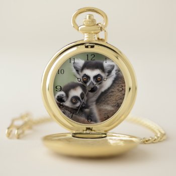 Mummy And Baby Lemur Cuddling  Pocket Watch by NaturalCauses at Zazzle