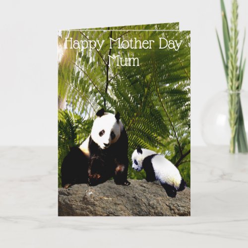 Mummy And Baby Panda Mother Day Card