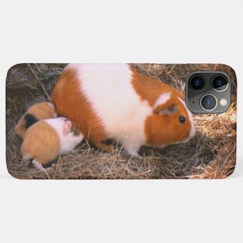 Mummy Guinea Pig Iphone 11 Pro Max Case by MehrFarbeImLeben at Zazzle