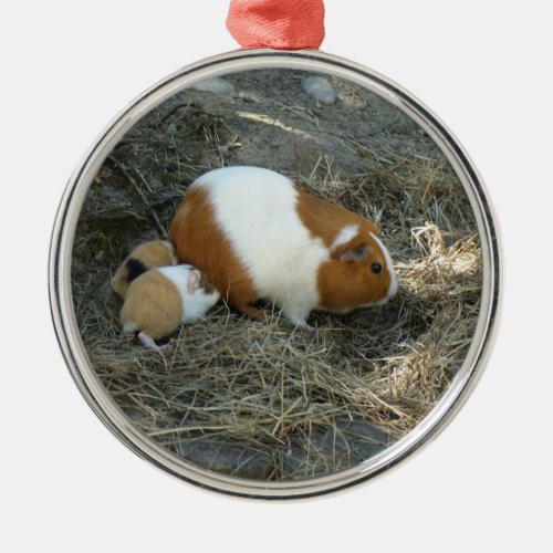 Mummy Guinea Pig Metal Ornament