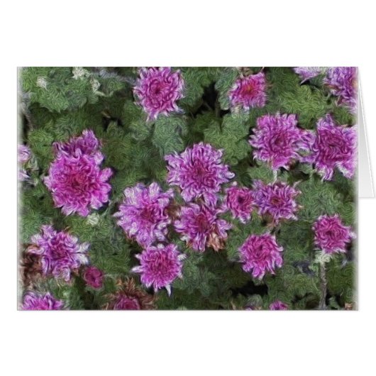 Mums (Front Horizontal)