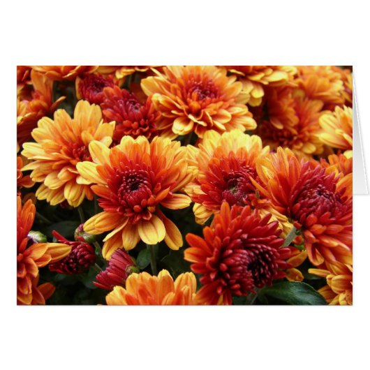 Mums Cards (Front Horizontal)