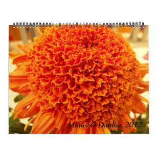 Mums & Dahlias 2012 Calendar