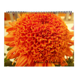 Mums & Dahlias 2012 Calendar