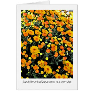 Mums (No. 0732) Cards