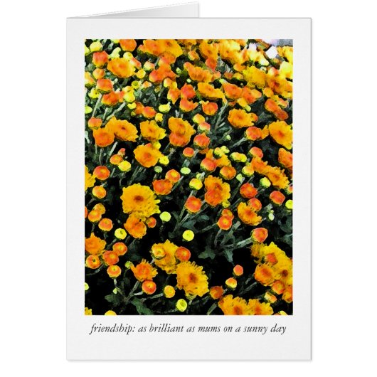 Mums (No. 0732) Cards (Front)