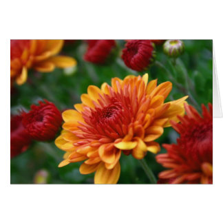 Mums on Fire Cards