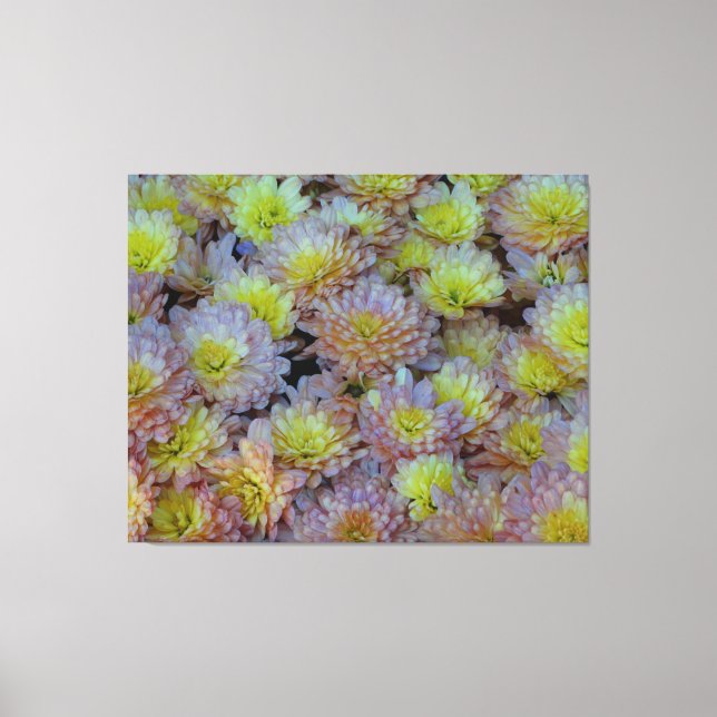 Mums the Word for Fall Splendor on a Canvas Print (Front)