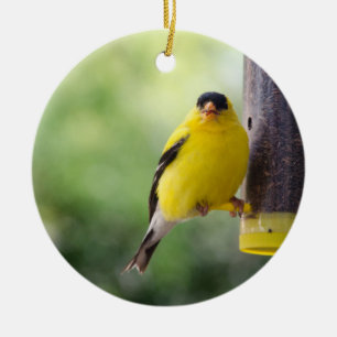 Munching Goldfinch Ceramic Ornament