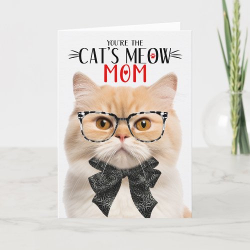 Munchkin Cat for Mom on Mothers Day Holiday Card