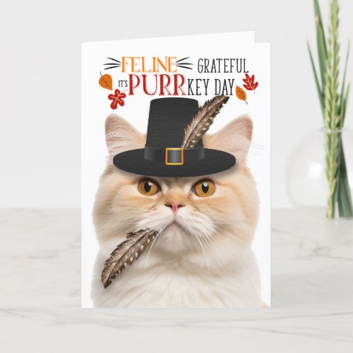Munchkin Cat Grateful for PURRkey Day Holiday Card