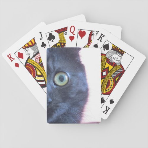 Munchkin Cat Playing Cards