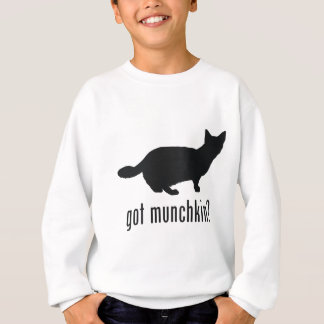 pumpkin cat sweatshirt