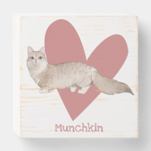Munchkin Cat Watercolor Kitty Pink Heart Wooden Box Sign