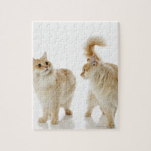 Munchkin cats jigsaw puzzle