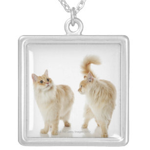 Munchkin cats silver plated necklace
