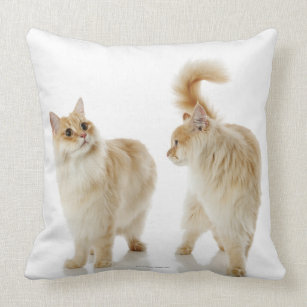 Munchkin cats throw pillow