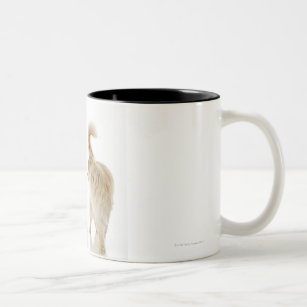 Munchkin cats Two-Tone coffee mug