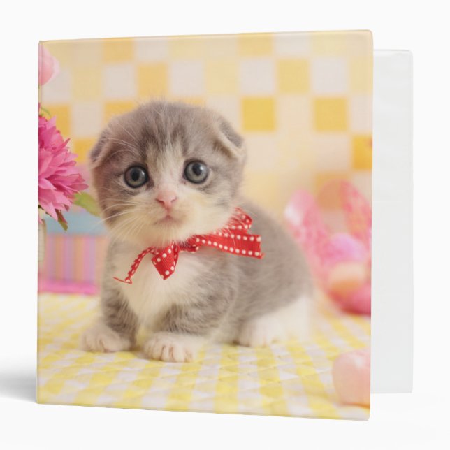 Munchkin Kitten 3 Ring Binder (Front/Inside)