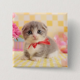 Munchkin Kitten Button