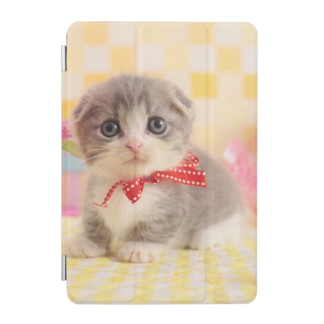 Munchkin Kitten iPad Mini Cover (Front)