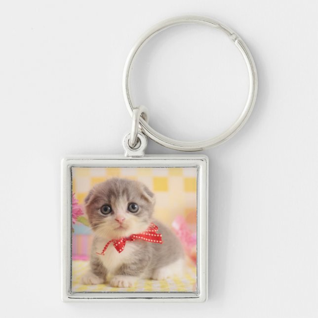 Munchkin Kitten Keychain (Front)